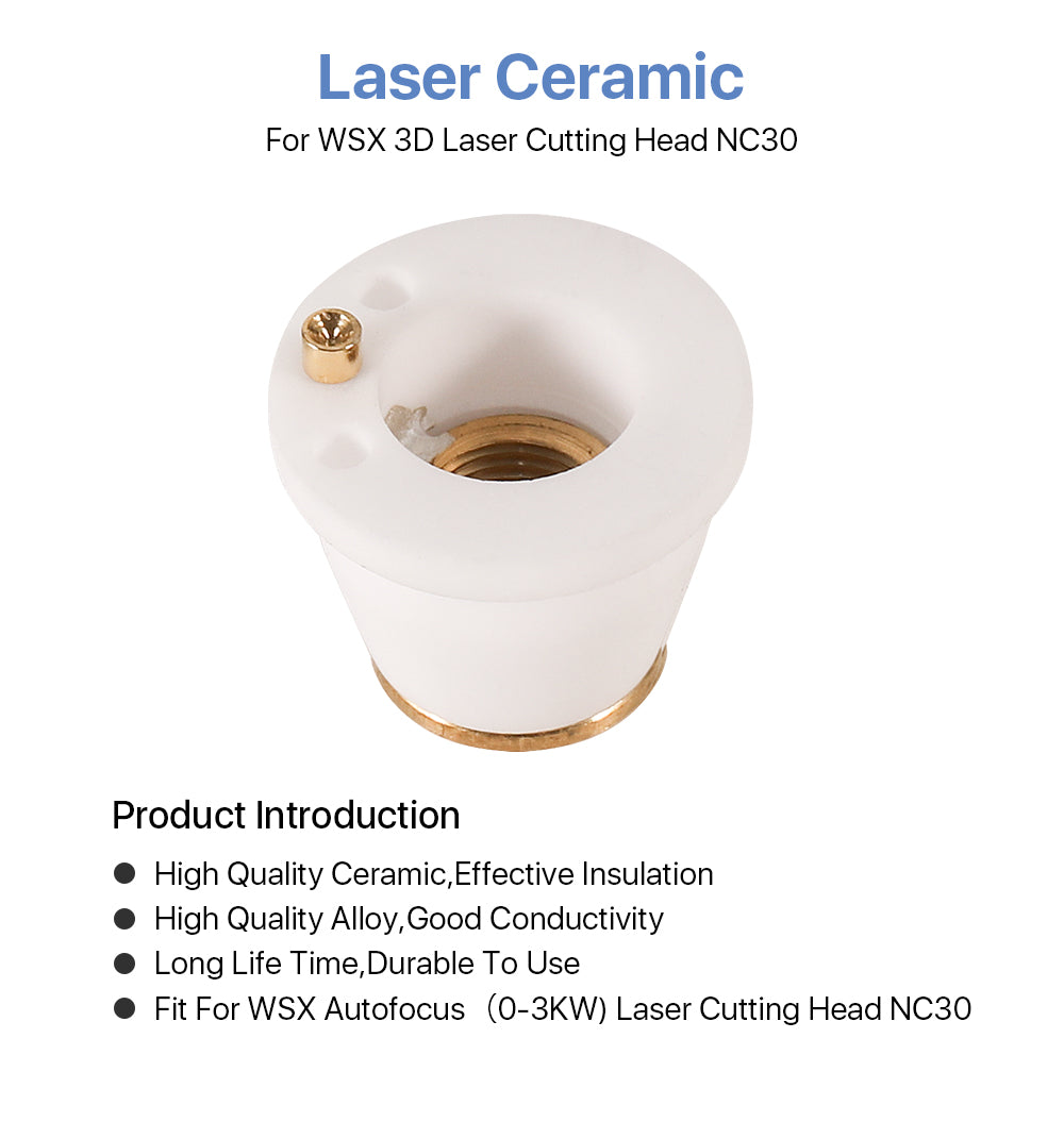 Raylasers WSX 3D Laser Cutting Ceramics