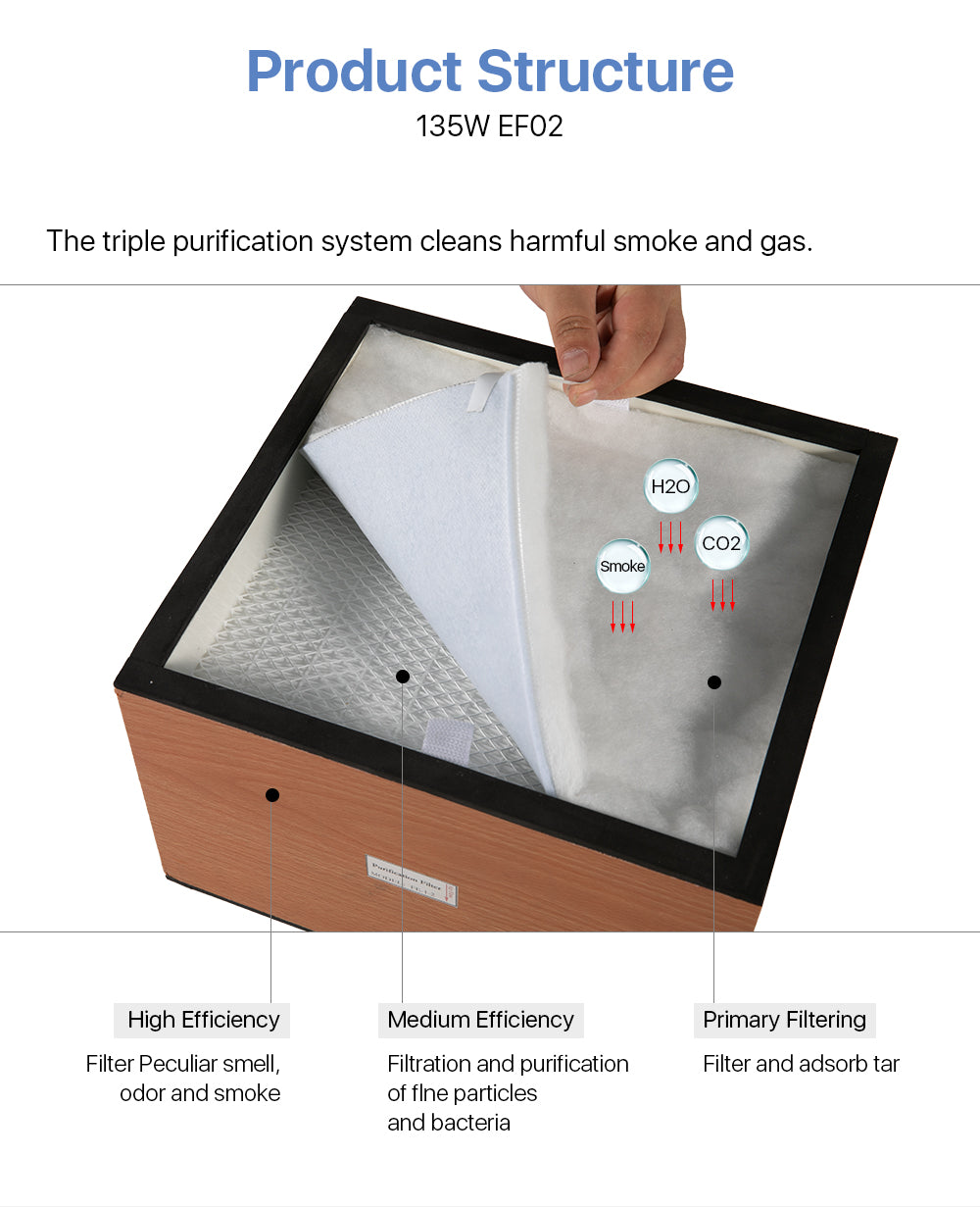 Raylasers Min Smoke Purifier 135W